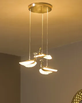 Acrylic Peacock Led Pendant Light