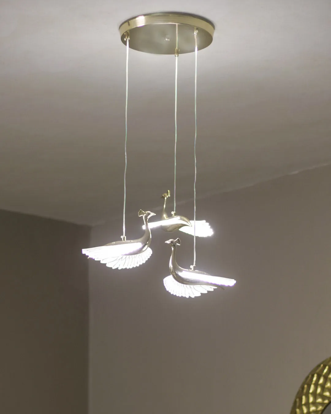Acrylic Peacock Led Pendant Light