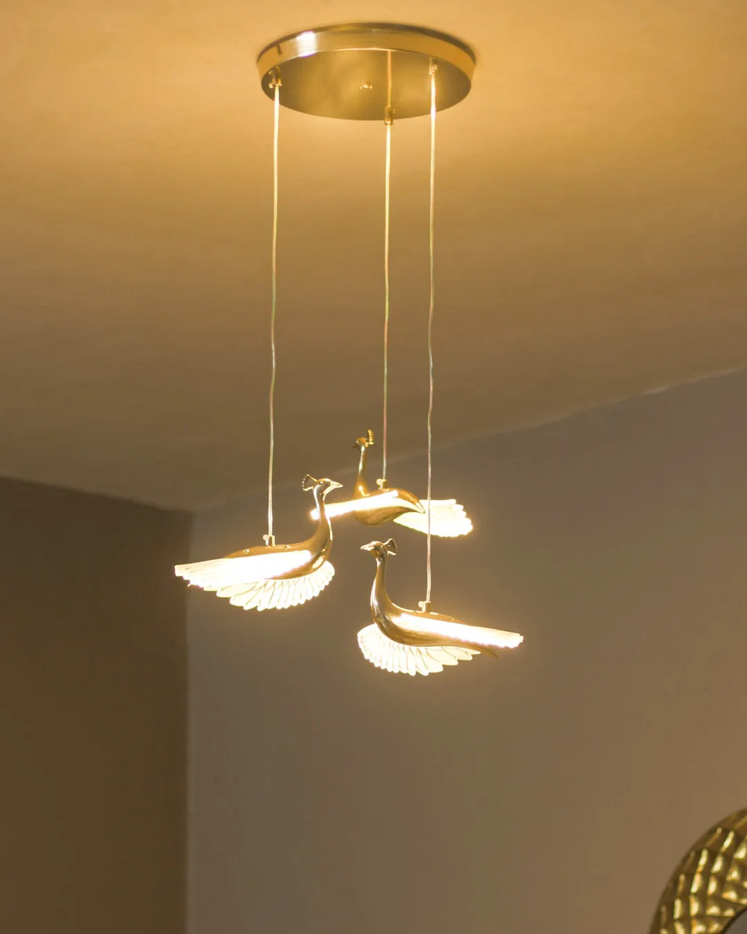 Acrylic Peacock Led Pendant Light