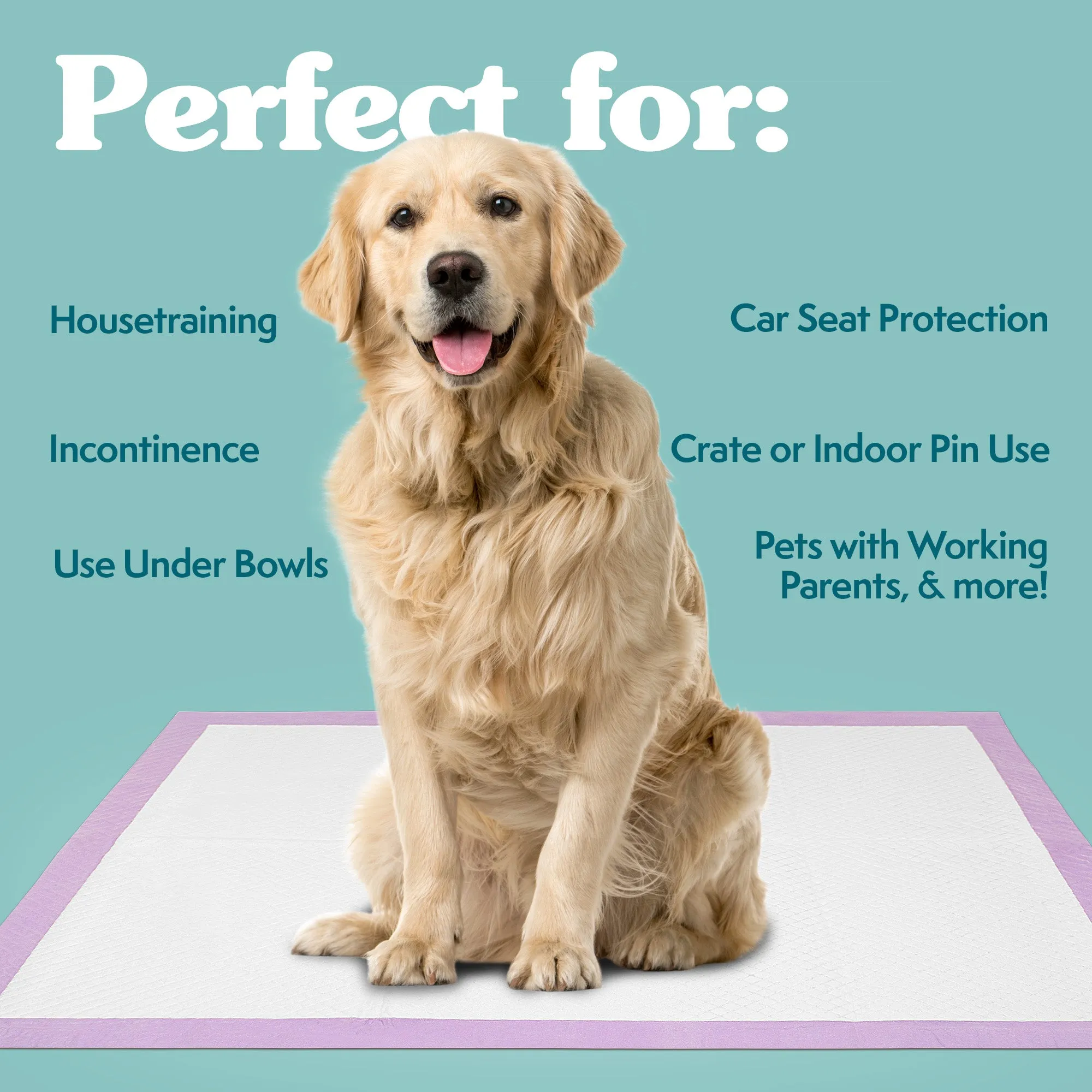 All Day Disposable Training Dog Pads