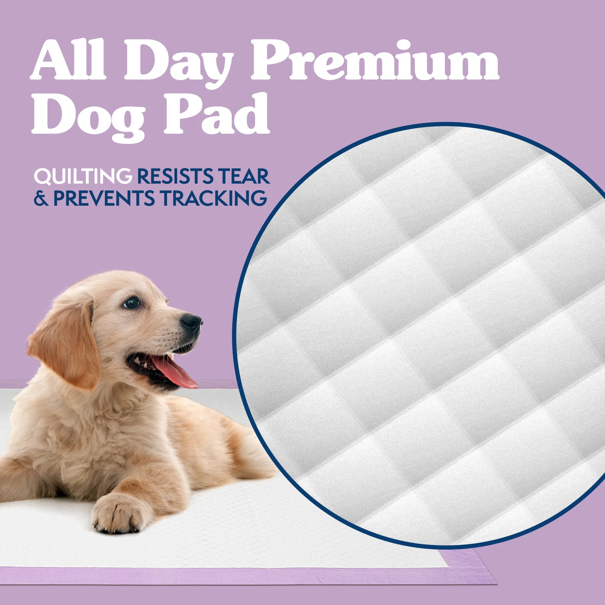 All Day Disposable Training Dog Pads