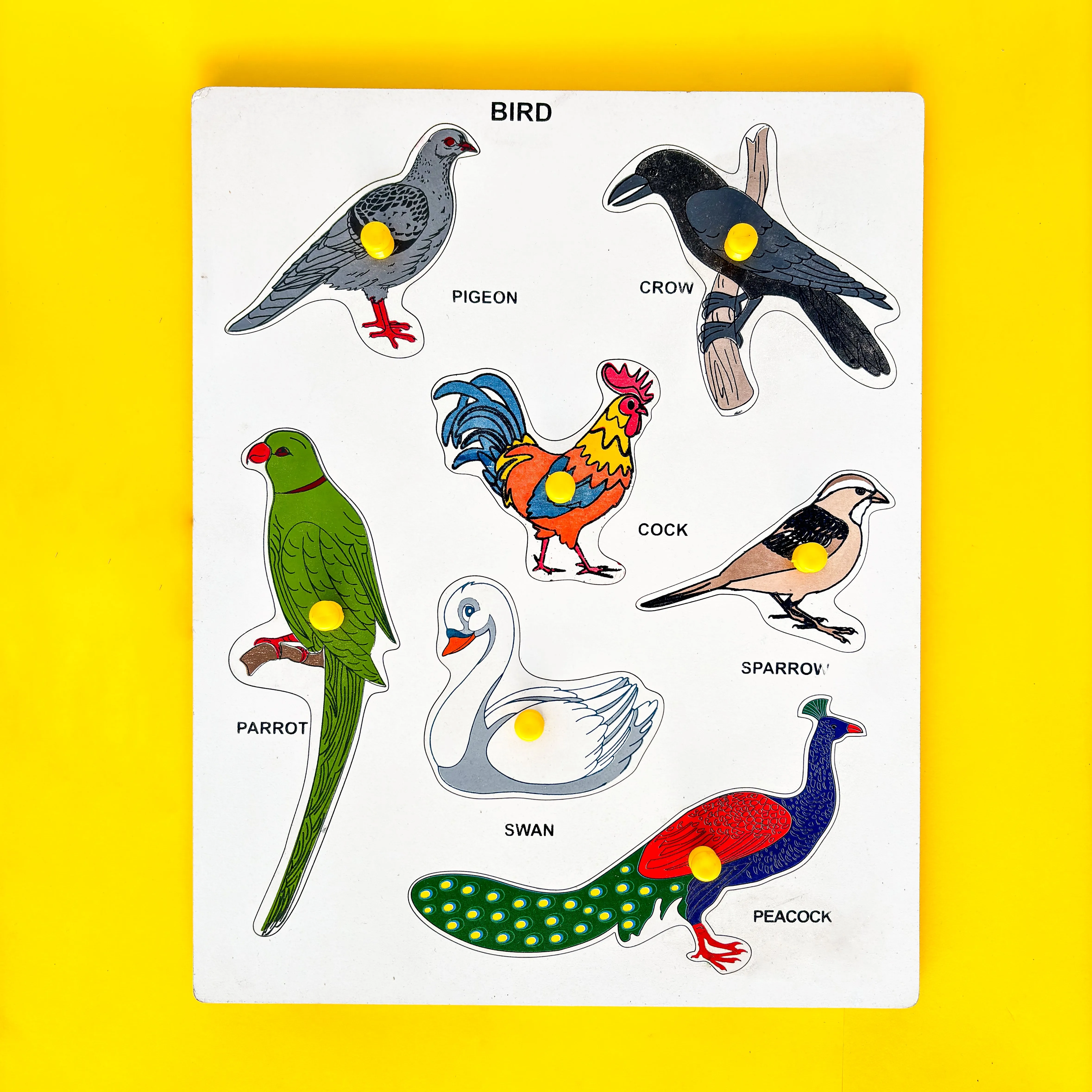 Birds wooden learning board