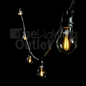 Black 10 or 20 Meter Festoon Lighting 2w Dimmable A60 LED Globes included
