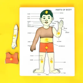 Body Parts Board