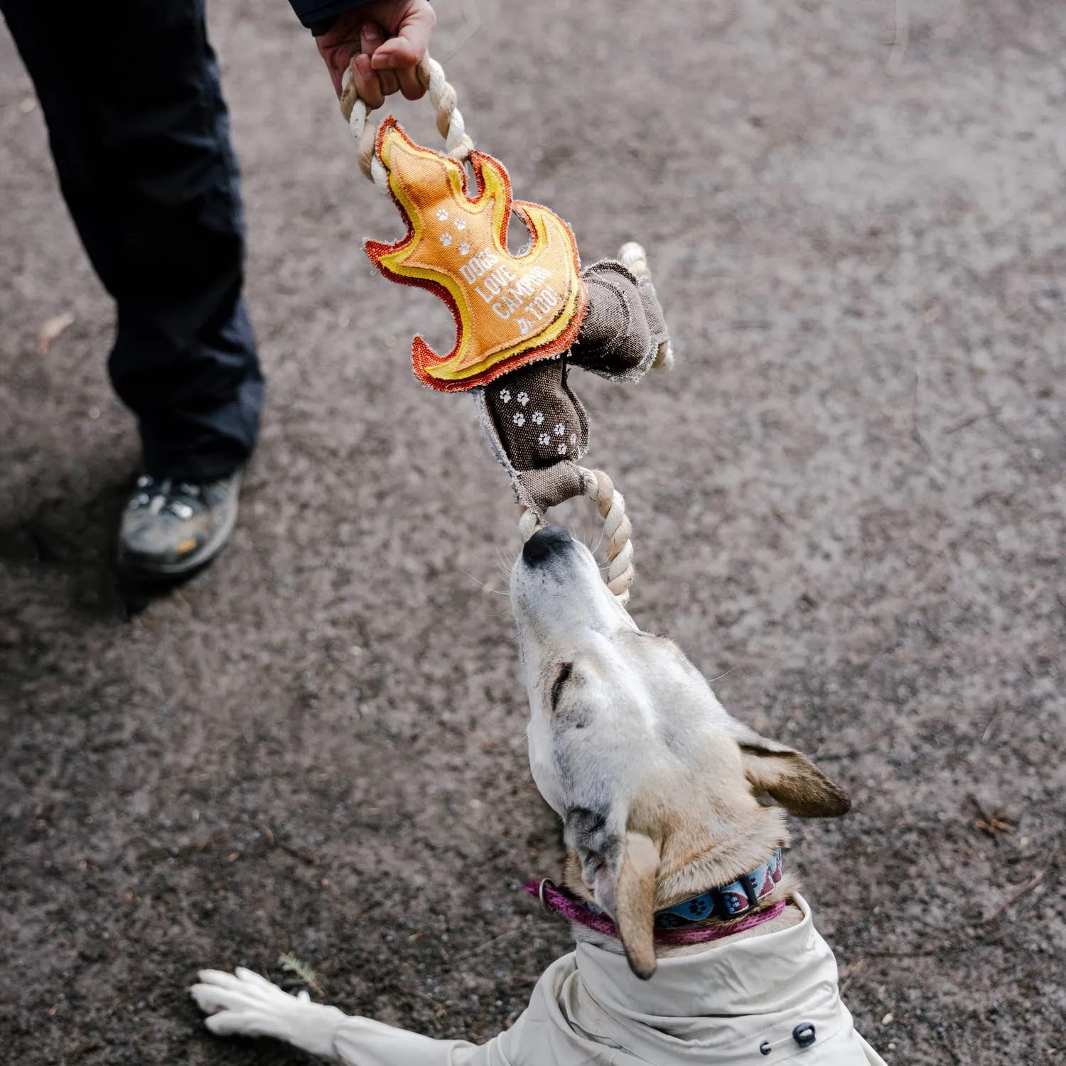 Camping Dog - 12" Canvas Dog Toy on Rope