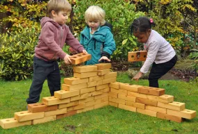 Cosy Lewis's Lightweight Softwood Bricks 90pk 26456 (Direct Shipping Item)