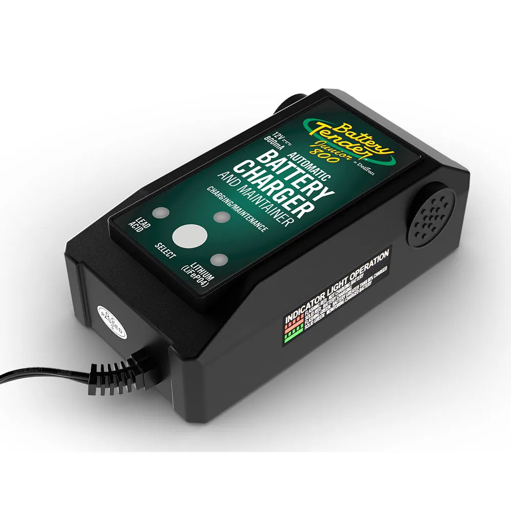 Deltran Lithium Smart Batteries with BMS