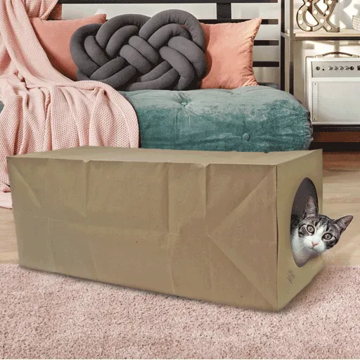 Dezi & Roo Hide and Sneak Tunnel