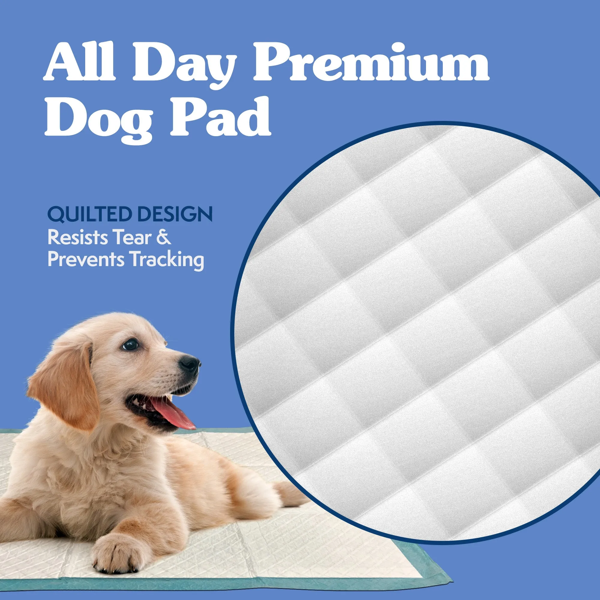Disposable Training Dog Pads