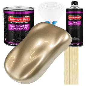 Driftwood Beige Metallic Acrylic Urethane Auto Paint - Complete Gallon Paint Kit - Pro Single Stage Automotive Car Truck Coating 4:1 Mix Ratio 2.8 VOC