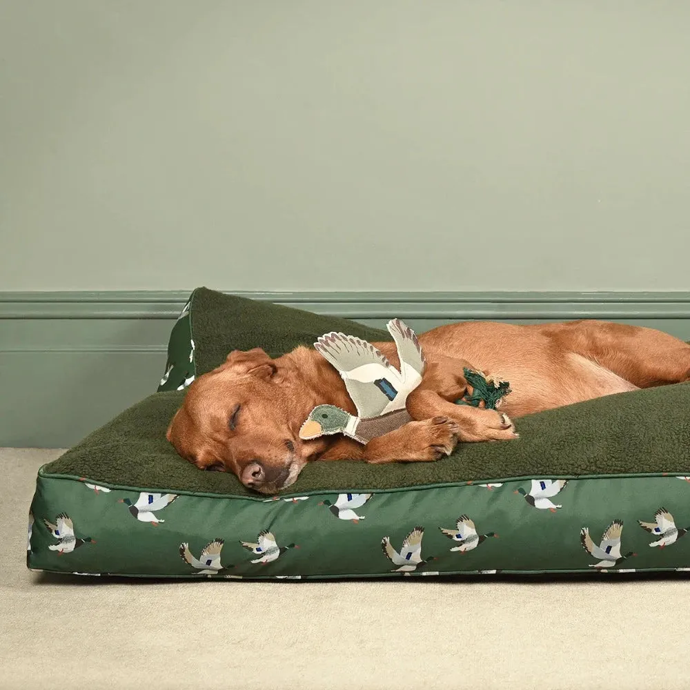 Duck Dog Toy