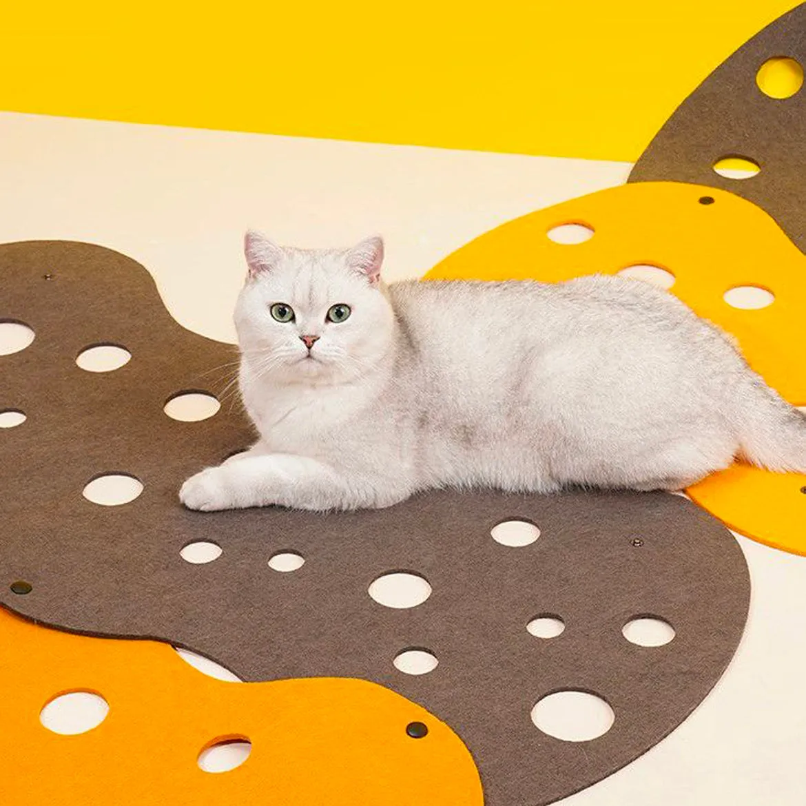 Extendable DIY Play Cat Tunnel Cheese Mat