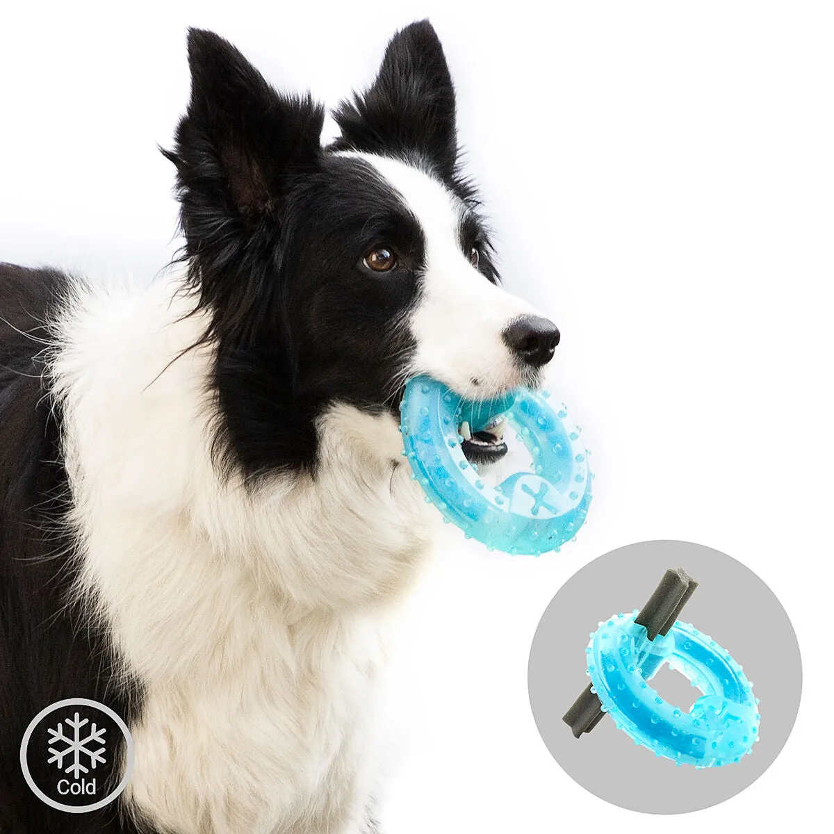 Freezable Pet Chew Toy