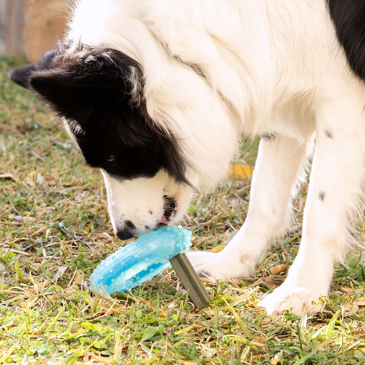Freezable Pet Chew Toy