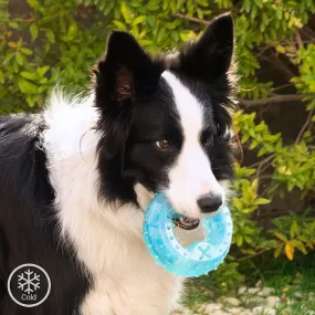 Freezable Pet Chew Toy
