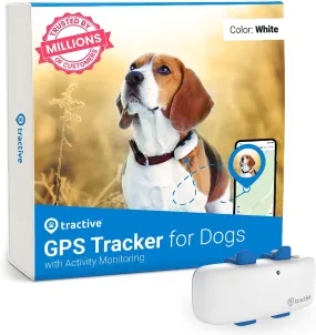 GPS Tracker & Health Monitoring for Dogs