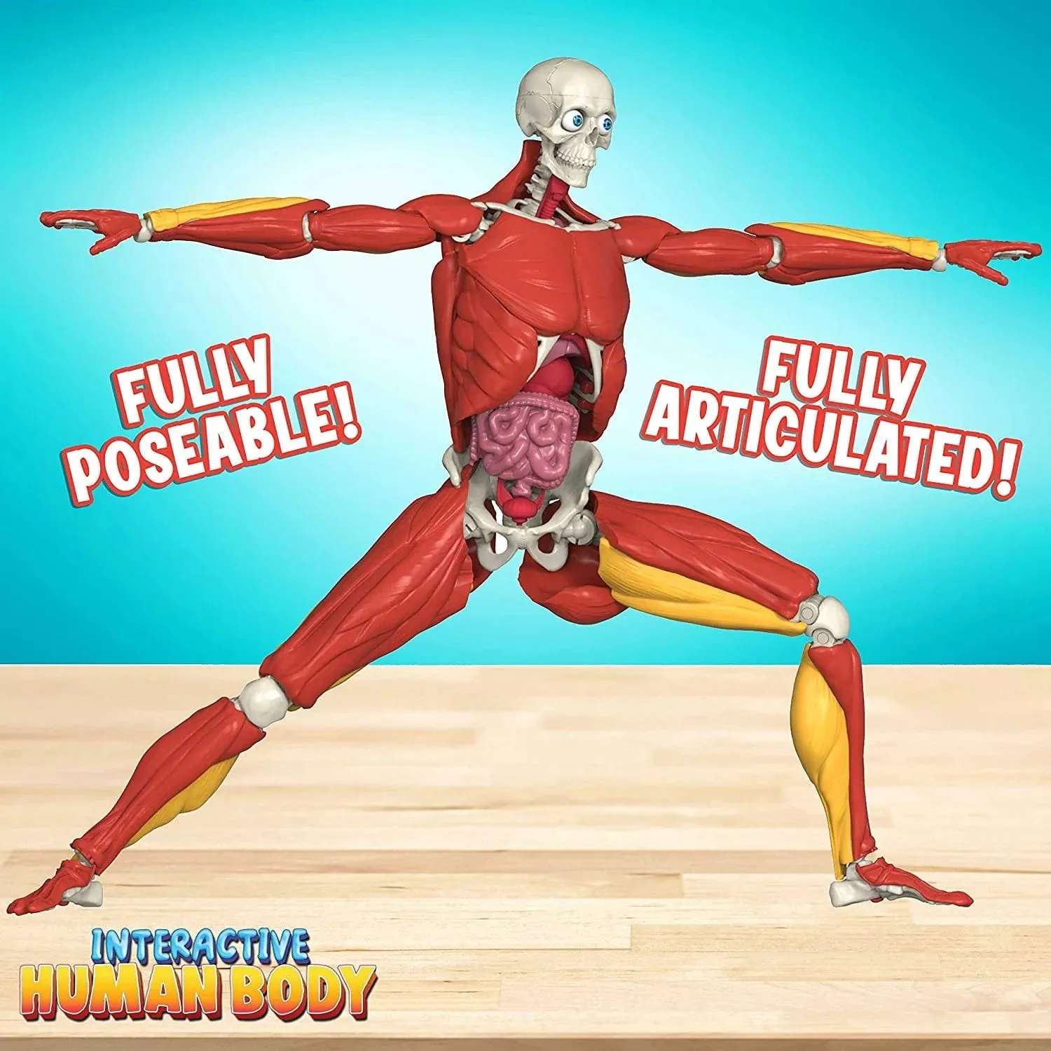Interactive Human Body