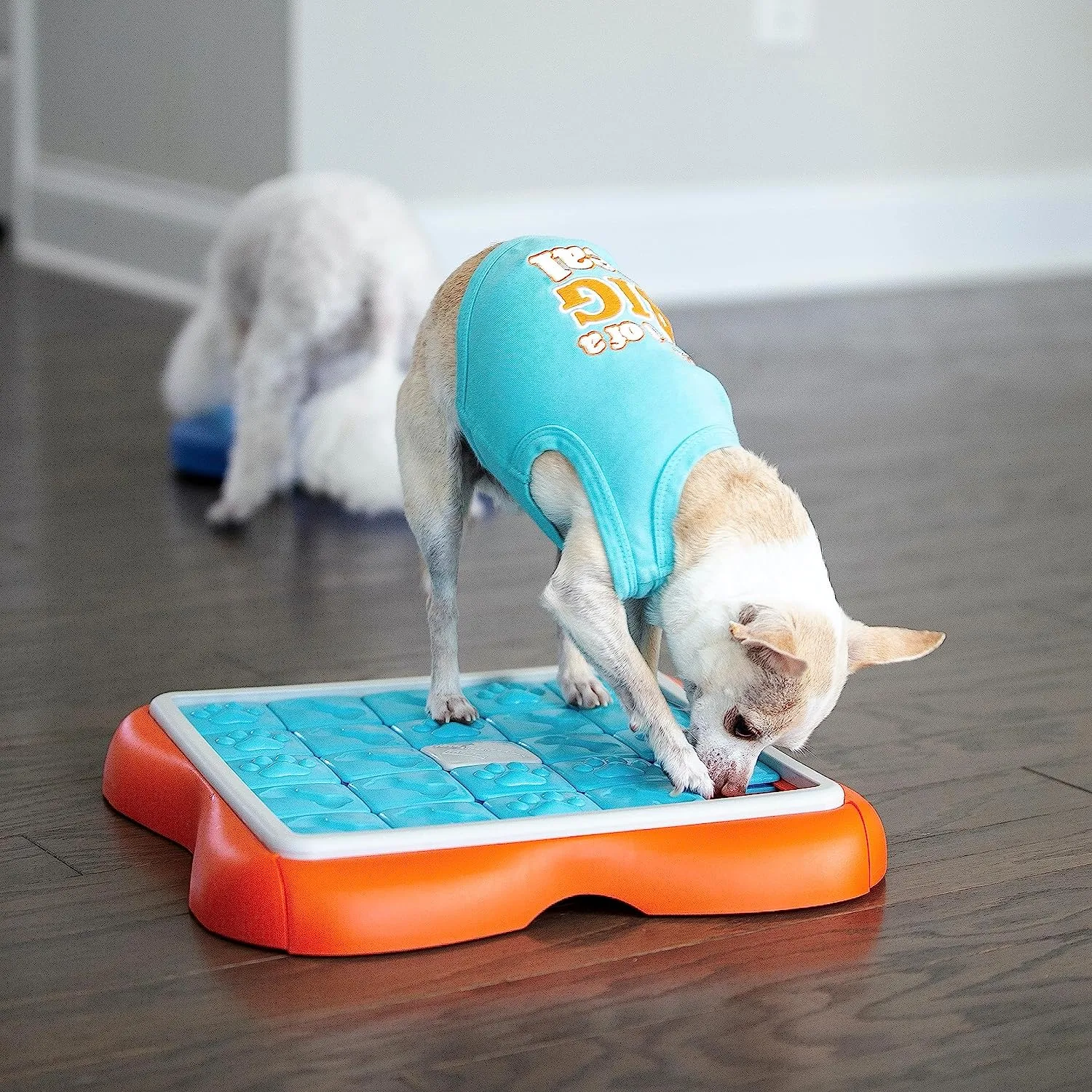 Interactive Toy - Challenge Slider Interactive Treat Puzzle - Dog Toy - Dog Puzzle