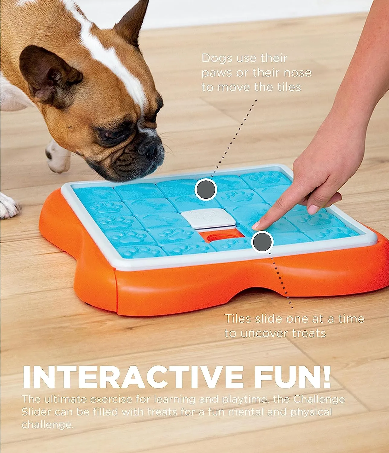 Interactive Toy - Challenge Slider Interactive Treat Puzzle - Dog Toy - Dog Puzzle