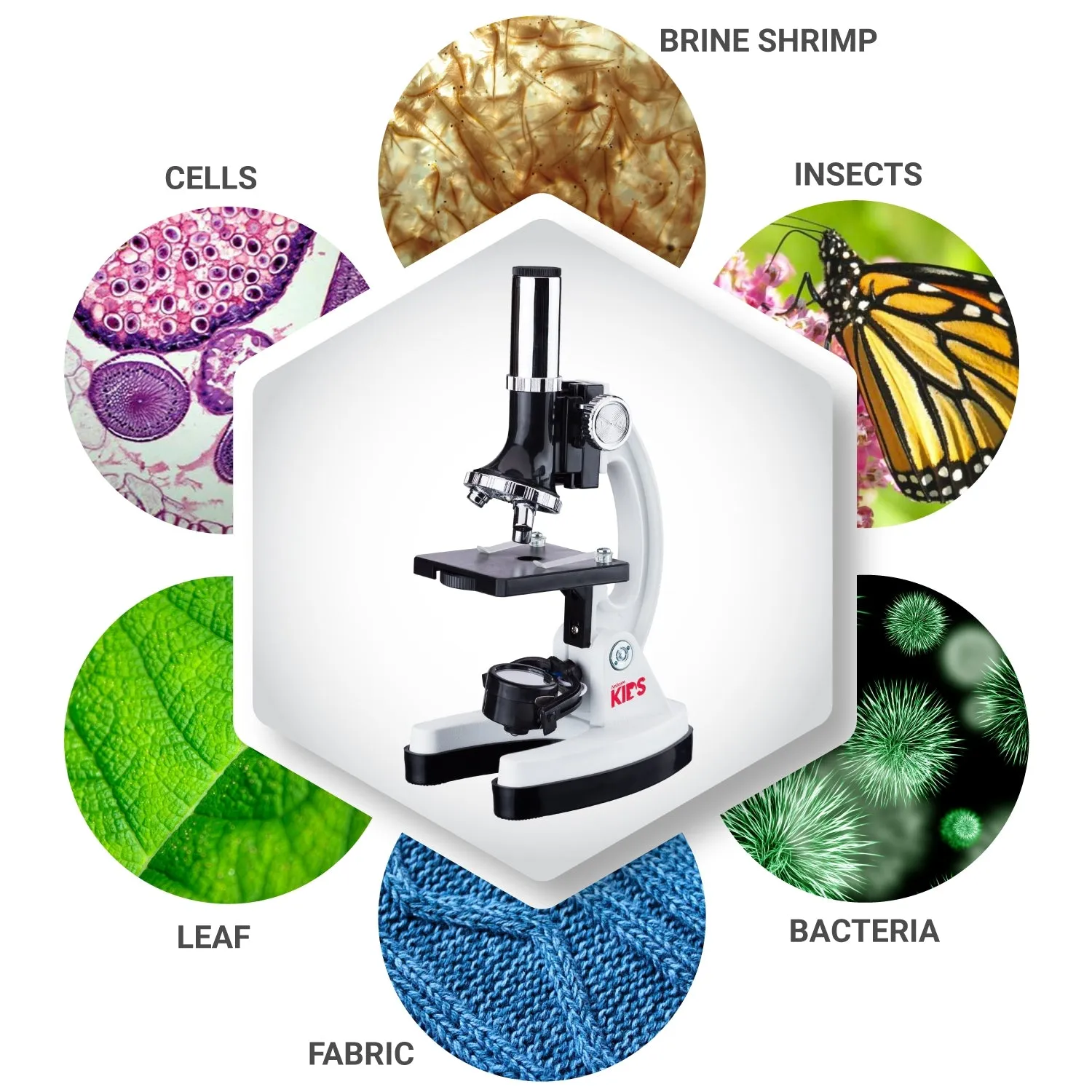 IQCrew By AmScope KIDS Series 48pc Metal Arm Educational Starter Biological Monocular Compound Microscope Kit 120X-1200X Magnification with Experiment Cards