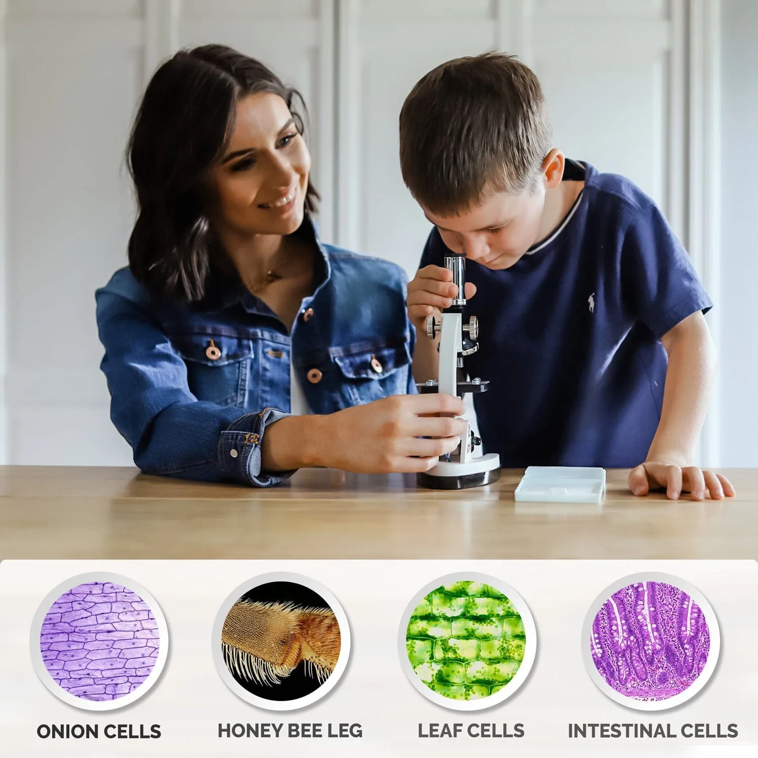 IQCrew By AmScope M30 Series 52-pcs STEM Microscope Kit for Kids 120X-1200X Magnification with Metal Body, Plastic Slides, LED Light and Storage Box