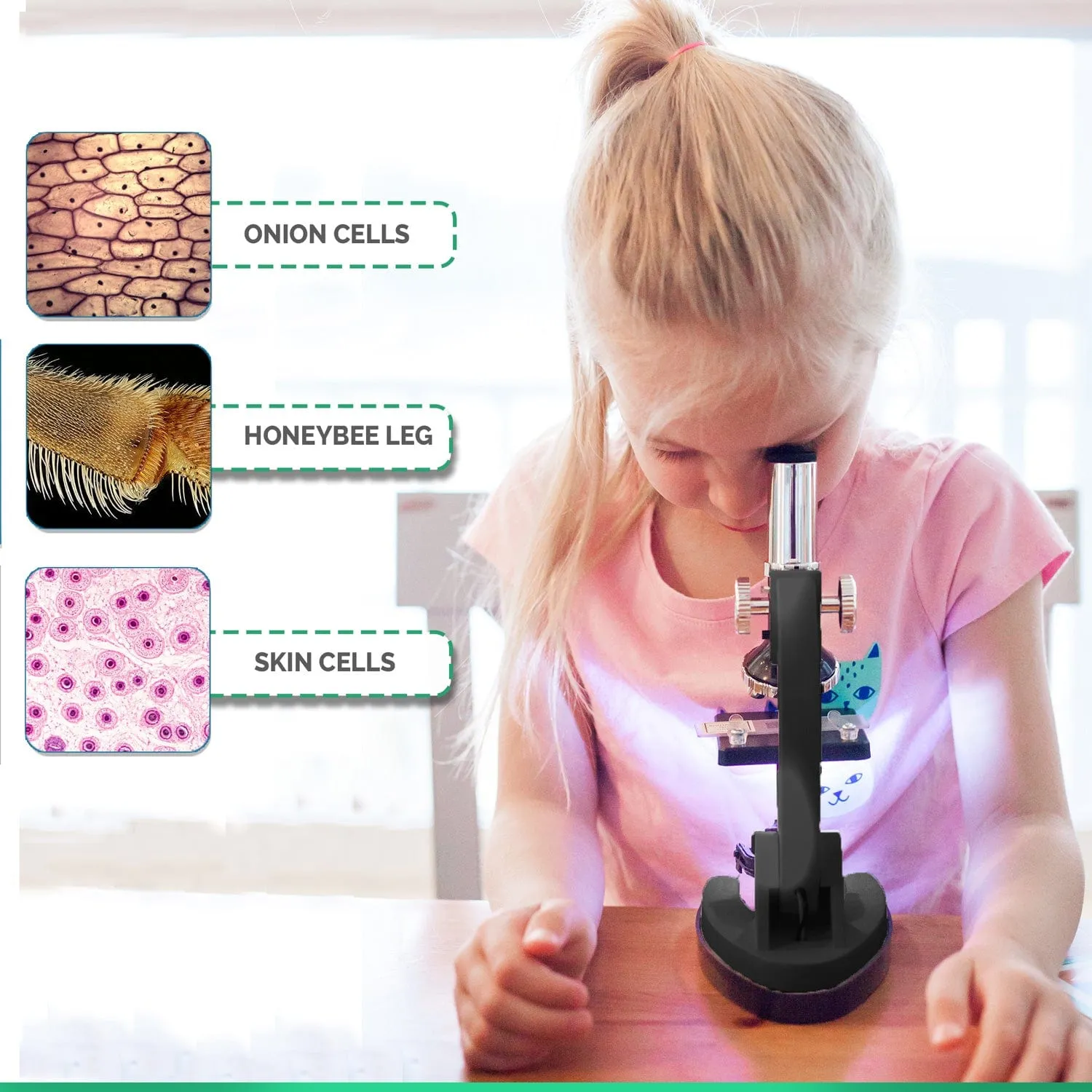 IQCrew By AMSCOPE Strater KIDS Student Compound Microscope Kit 120X-240X-300X-480X-600X-1200X Magnificaiton with Metal Arm and Experiment Cards