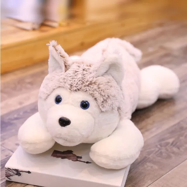 Kawaii Husky Plush Toy