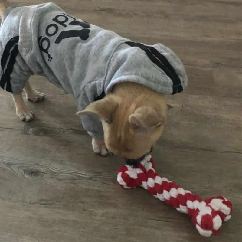 Kawaii Resistant Bone Dog Toys