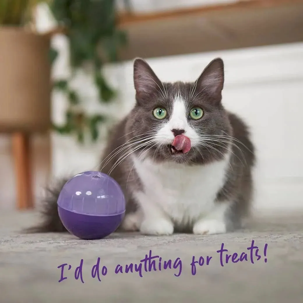 Kazoo Interactive Treat Dispensing Ball Cat Toy