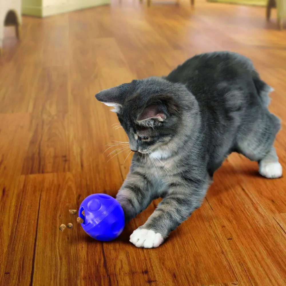 KONG - Treat Dispensing Ball