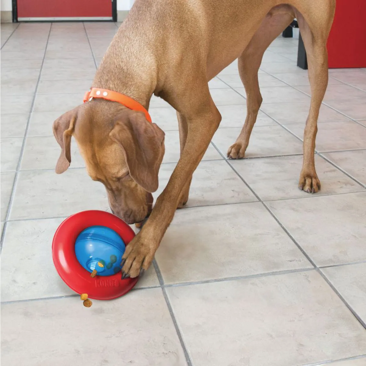 Kong®Gyro Treat Dispenser