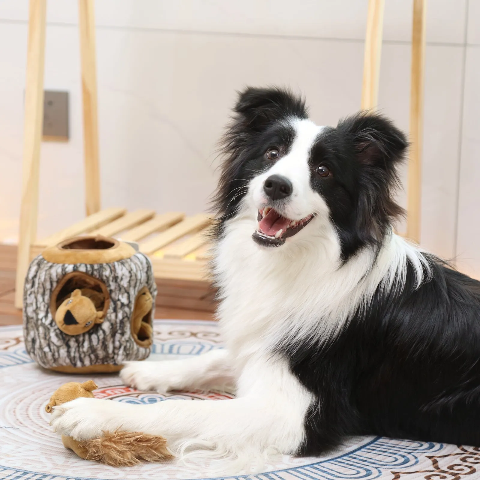 Laifug Hidden Squirrel Plush Dog Toy
