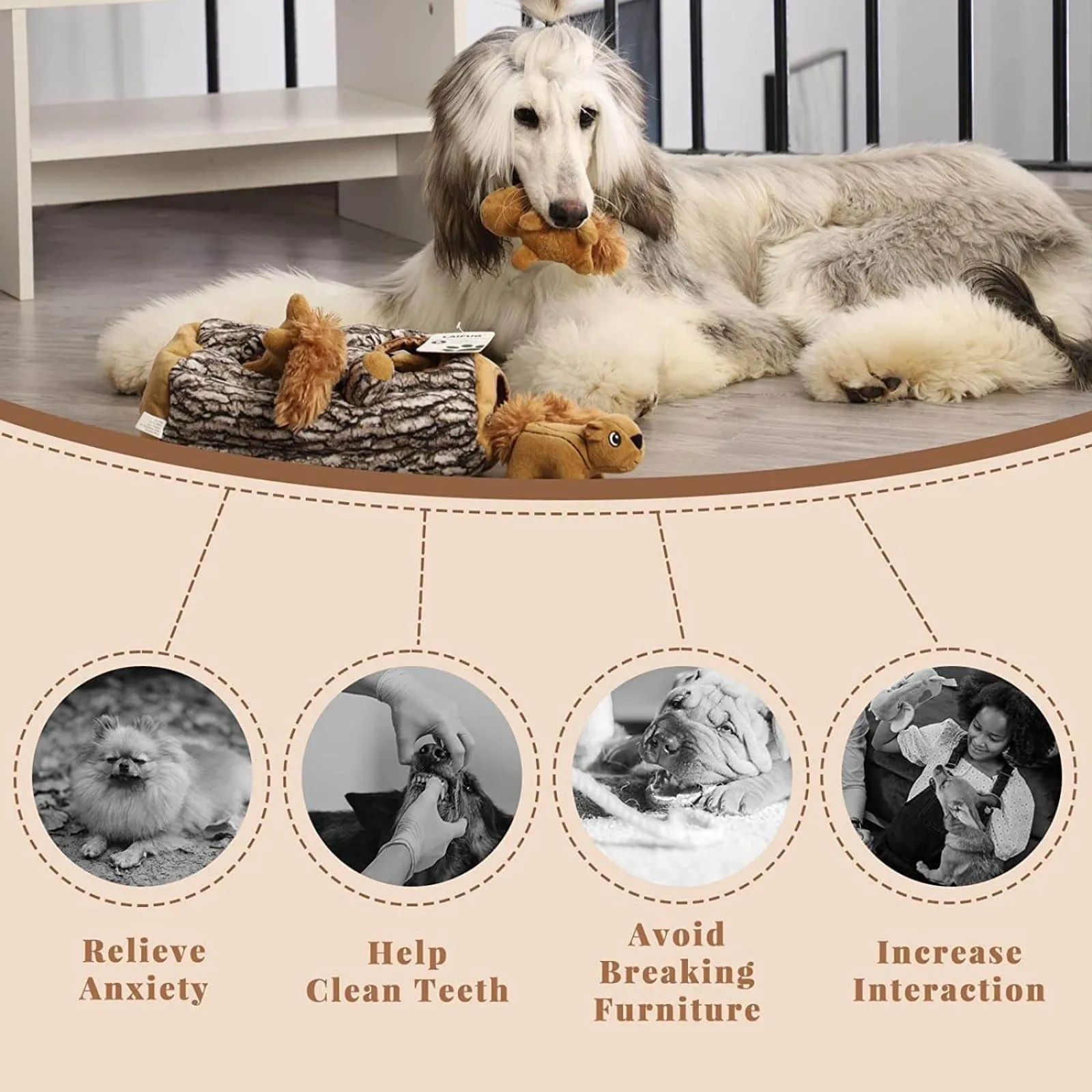 Laifug Hidden Squirrel Plush Dog Toy