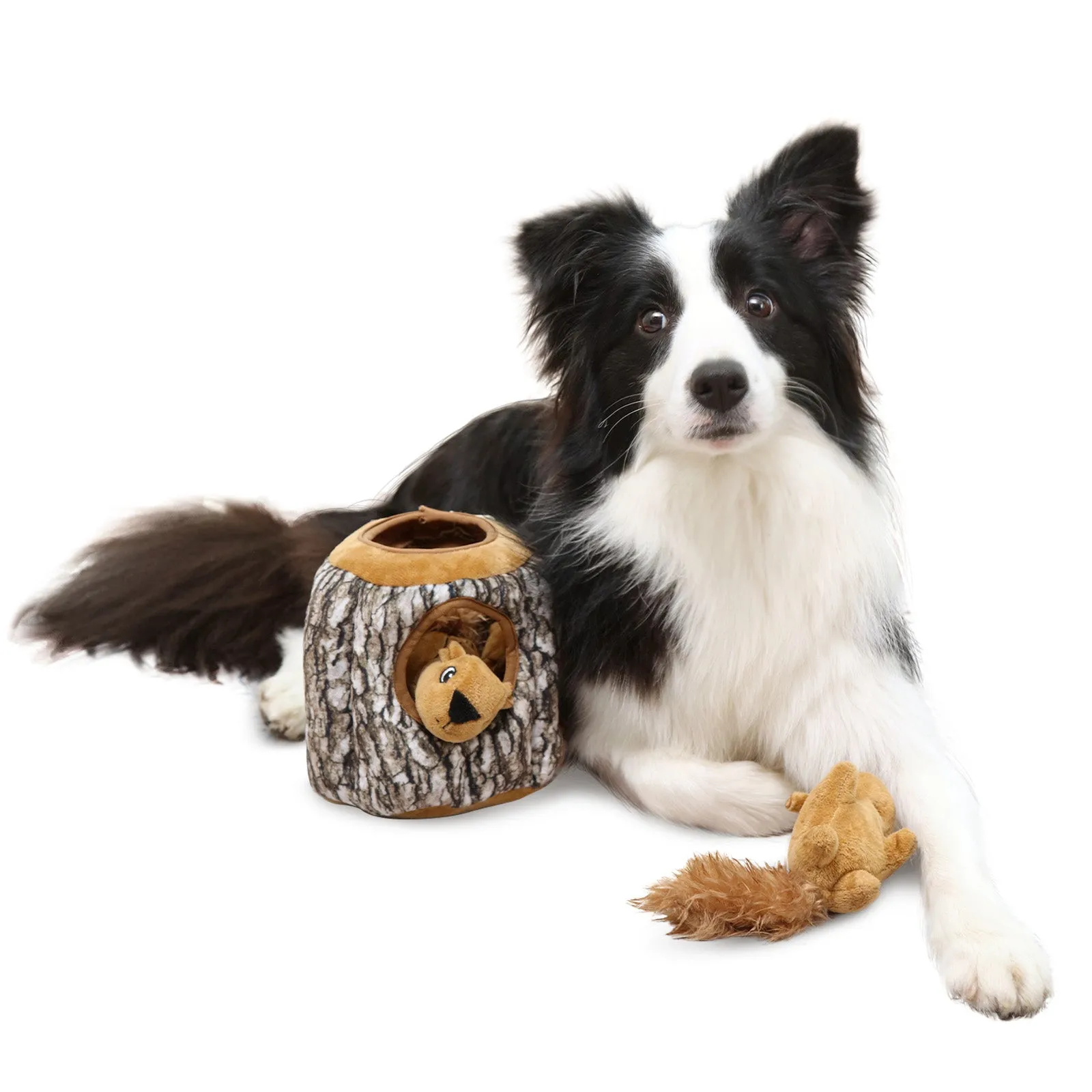 Laifug Hidden Squirrel Plush Dog Toy