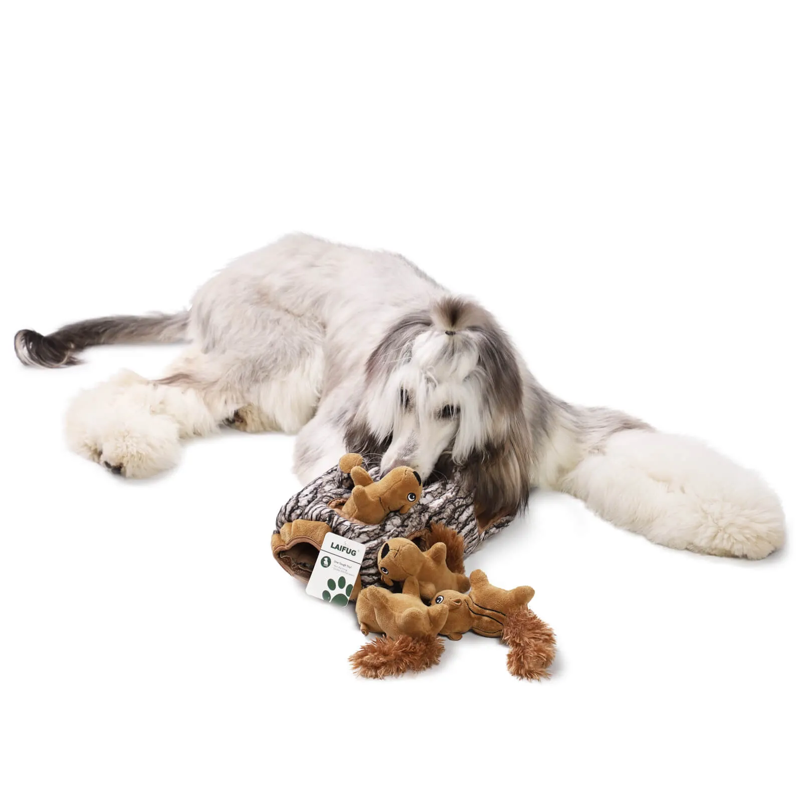 Laifug Hidden Squirrel Plush Dog Toy