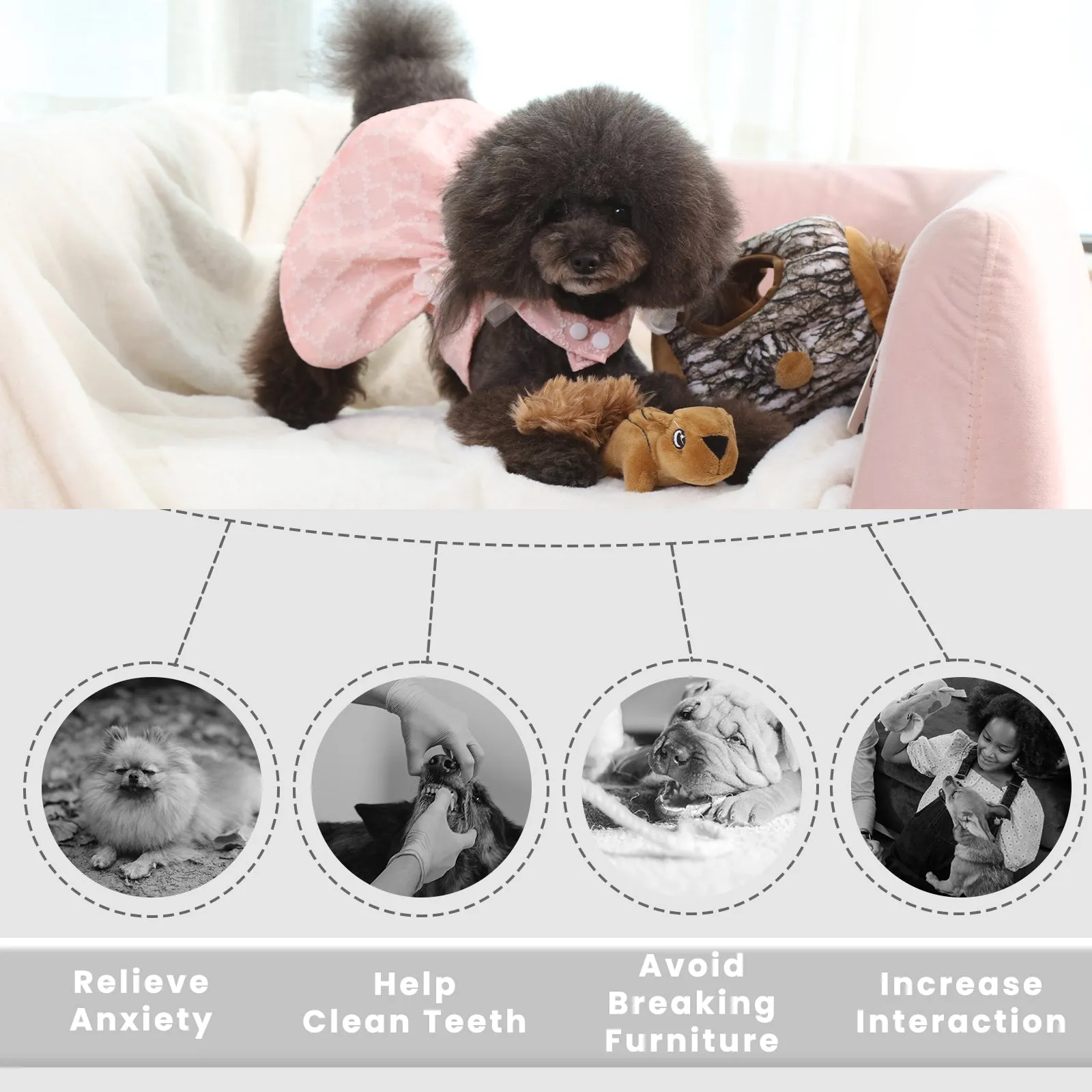 Laifug Hidden Squirrel Plush Dog Toy