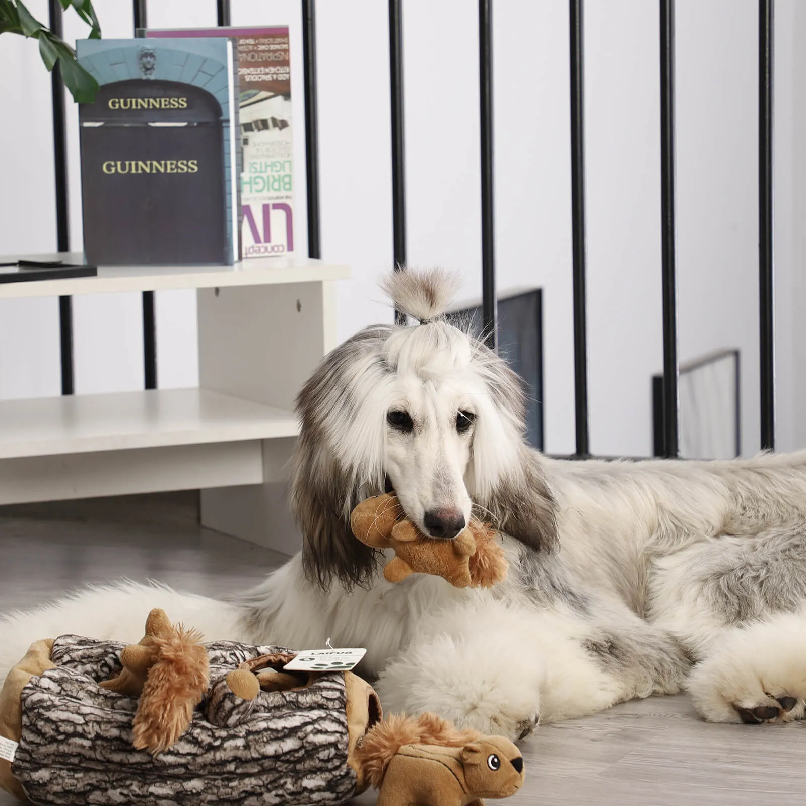 Laifug Hidden Squirrel Plush Dog Toy