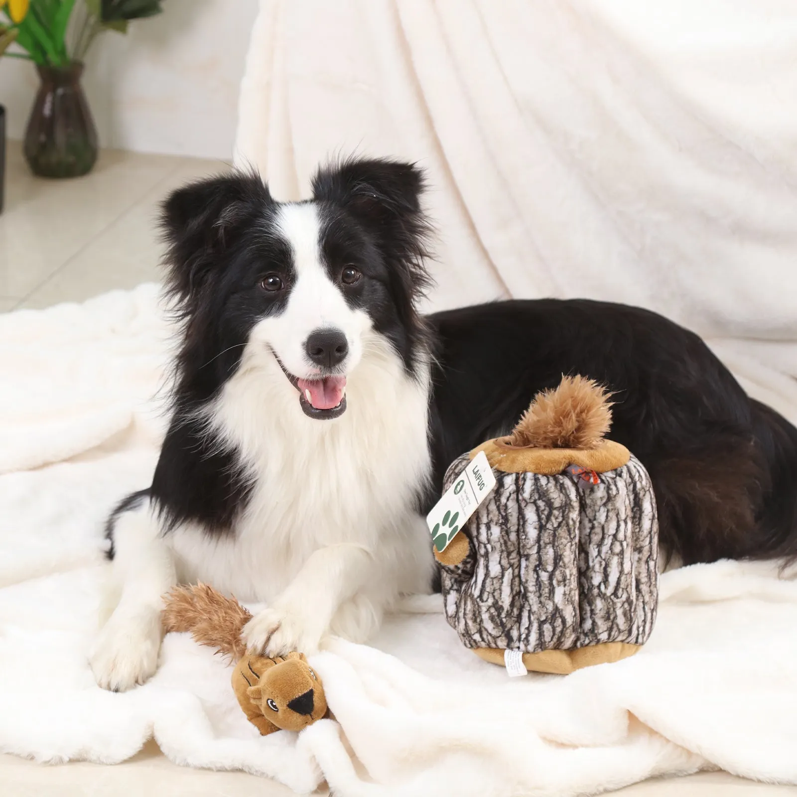 Laifug Hidden Squirrel Plush Dog Toy