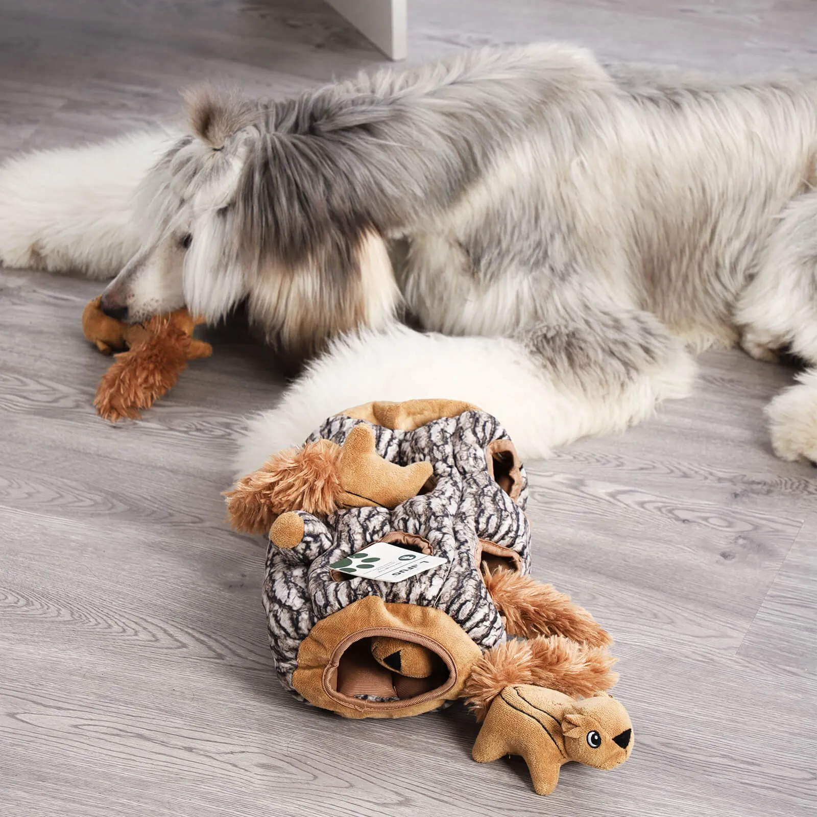 Laifug Hidden Squirrel Plush Dog Toy