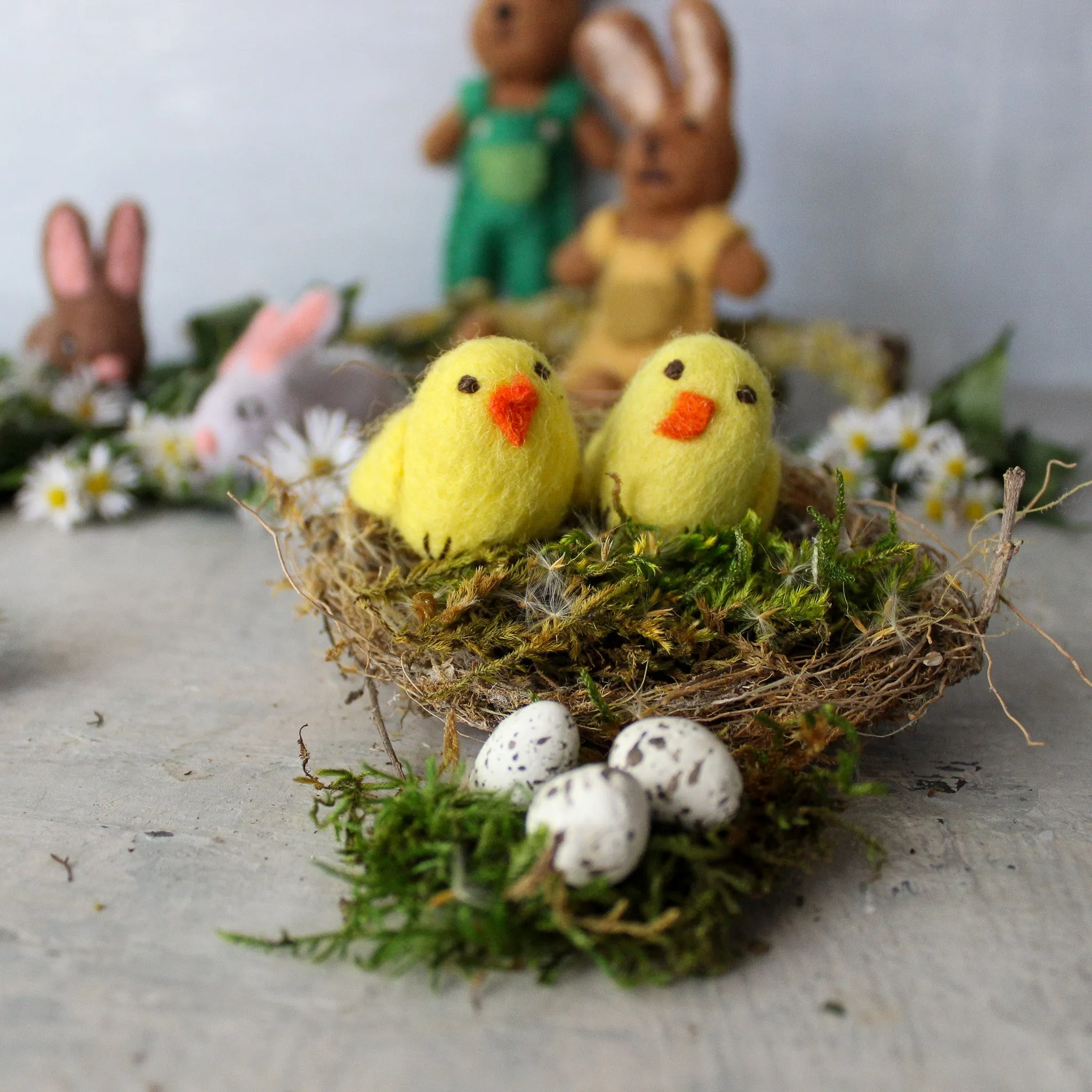 Little Yellow Chicks