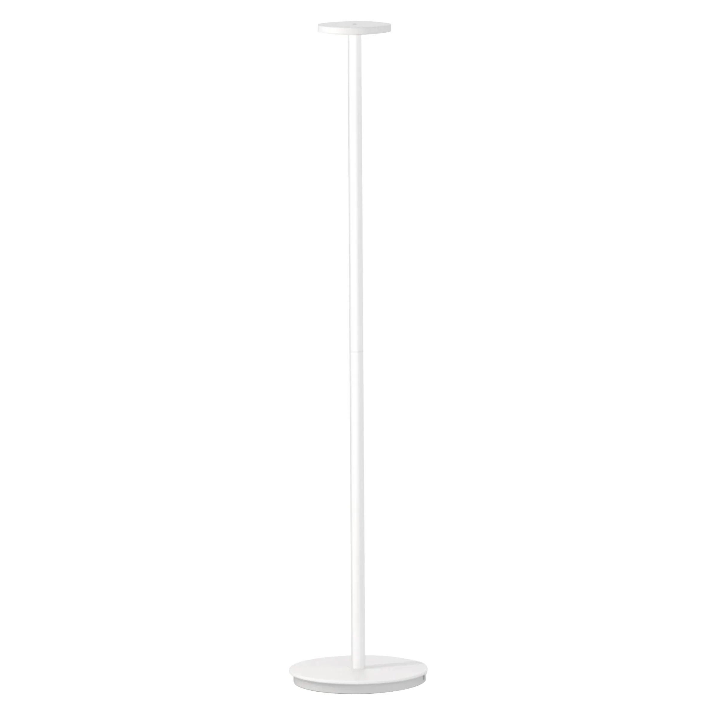 Luci Floor Lamp