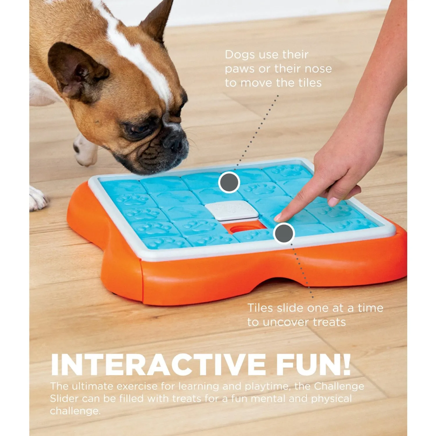 Nina Ottosson Challenge Slider Interactive Treat Puzzle Dog Toy