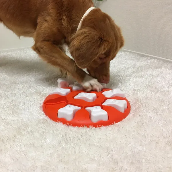Nina Ottosson - Dog Smart