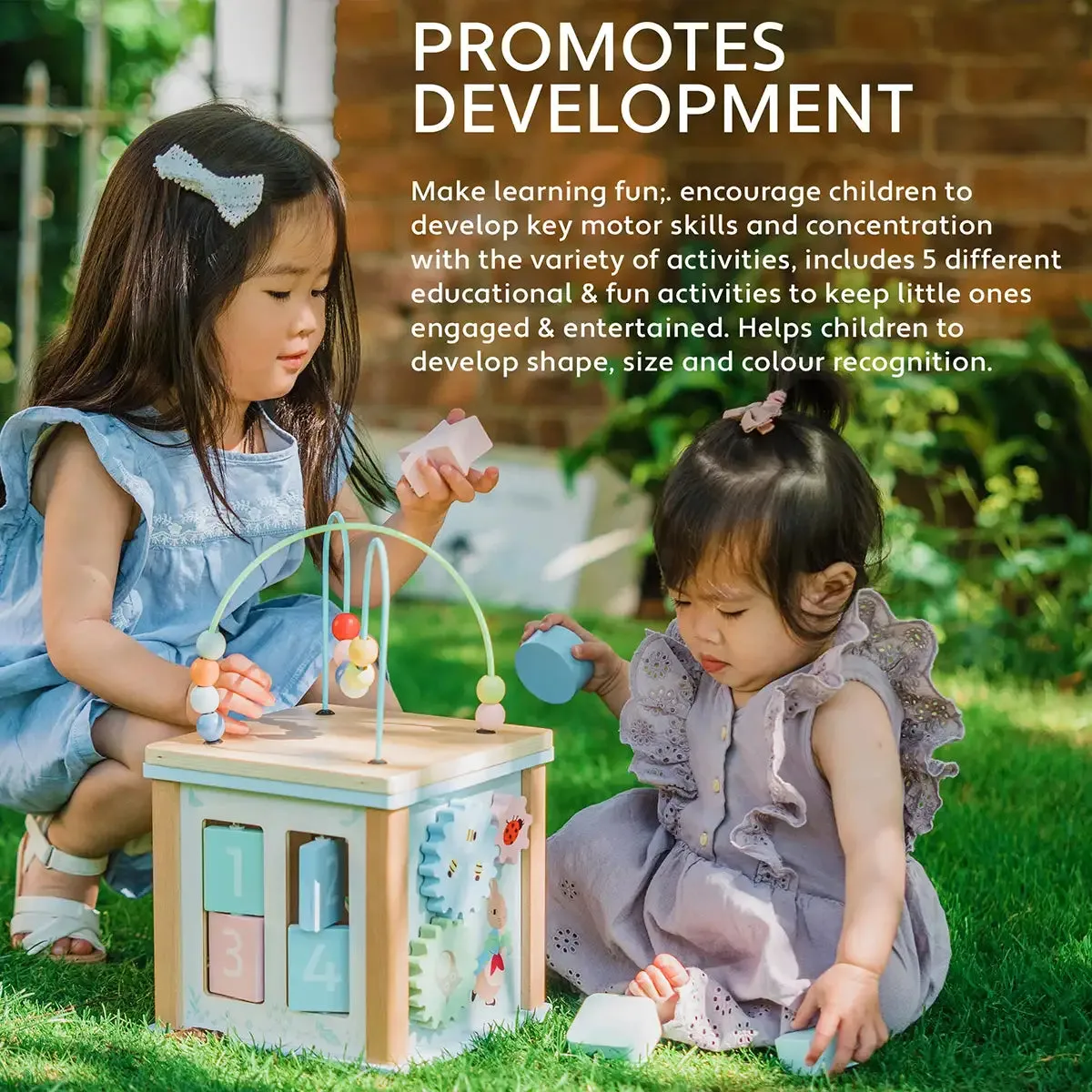 Peter Rabbit Activity Cube