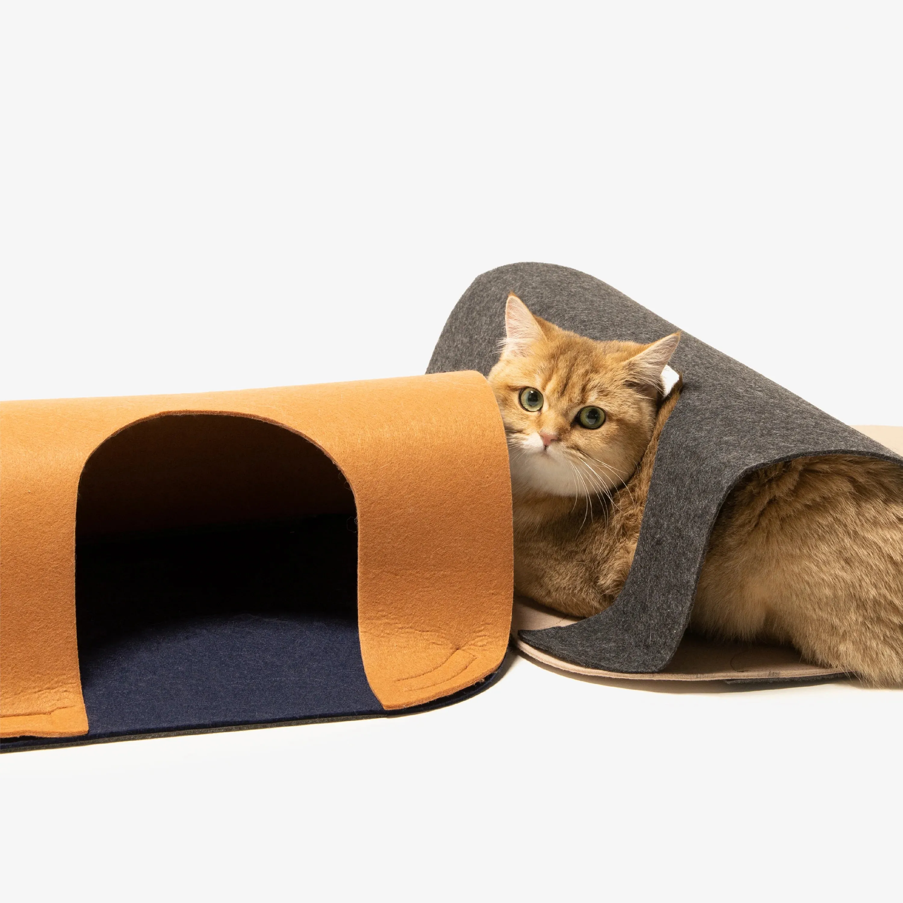 Pidan Catube Carpet Tunnel (2 PCS) - Interactive Cat Play Tunnel