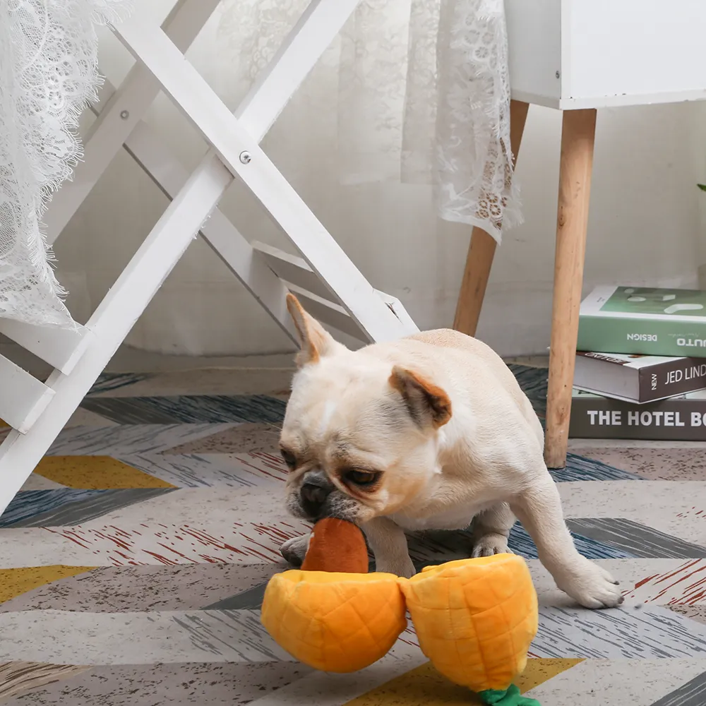 Puzzle Hunter Coconut Plush Dog Toy