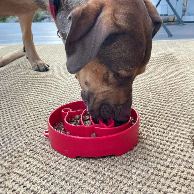SodaPup Santa Slow Feeder Bowl