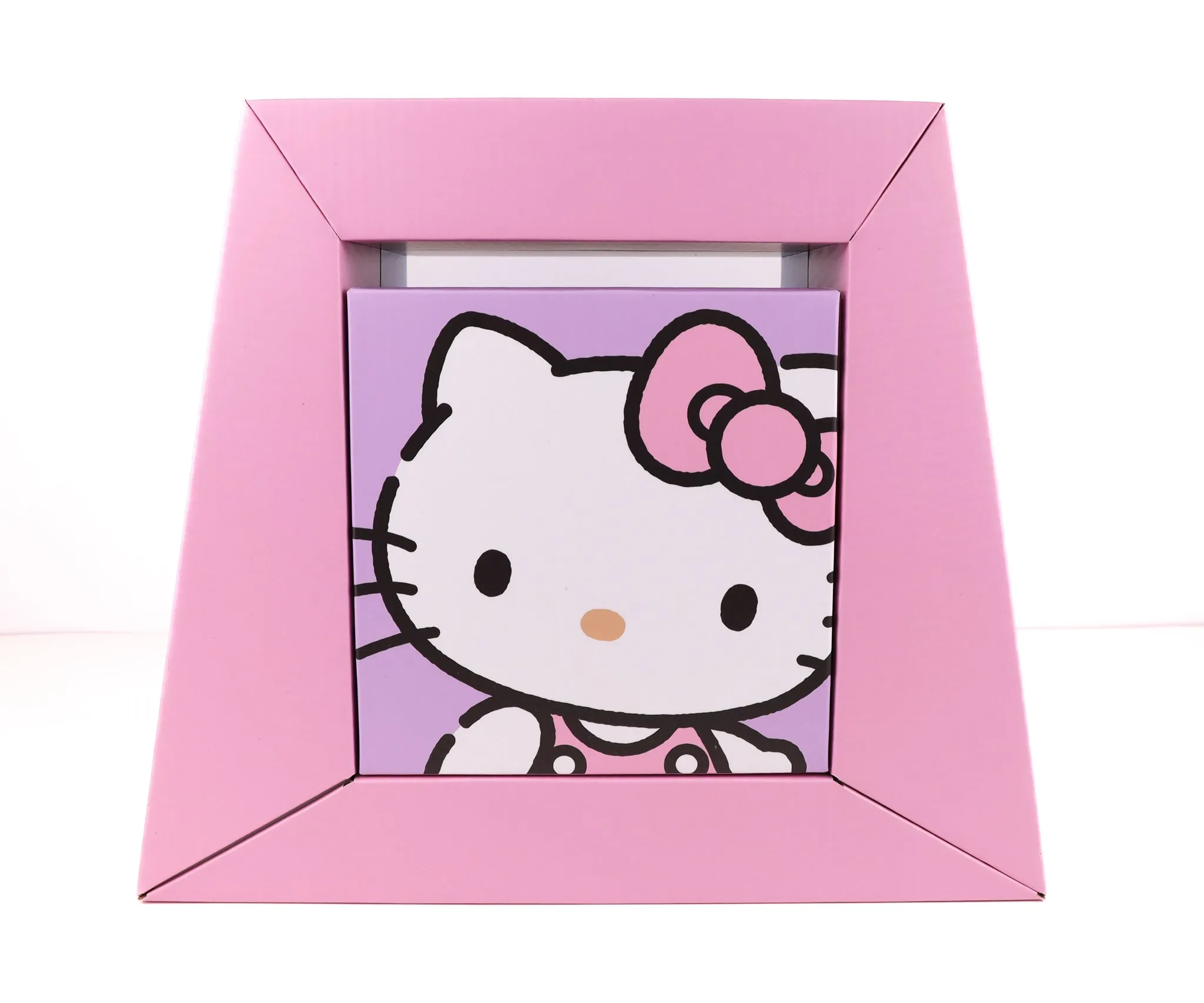 Storage [Hello Kitty-Pink]