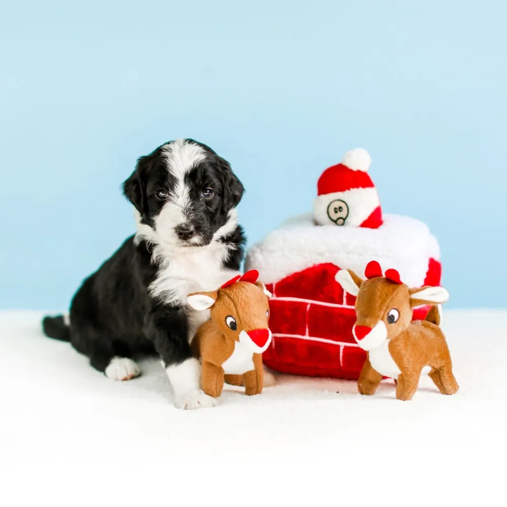 ZippyPaws Christmas Burrow Chimney Dog Toy
