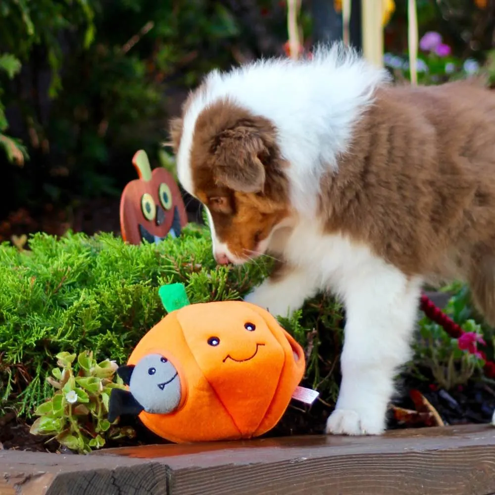 ZippyPaws Halloween Burrow Pumpkin With Bats Dog Toy